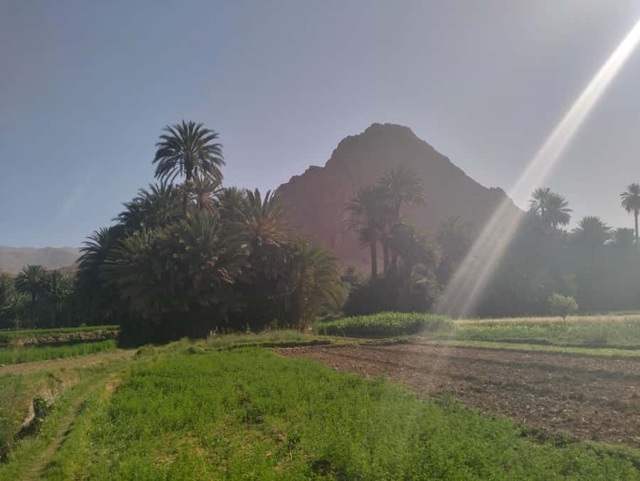 Ouarzazate to Marrakech: 3-Days Merzouga Desert Tour - Practical tips before you go