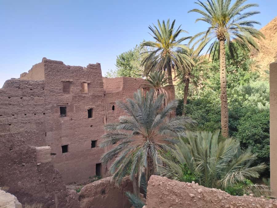 Ouarzazate to Marrakech: 3-Days Merzouga Desert Tour - Day 3: Camel trek back, sunrise spectacle, and the push to Marrakech