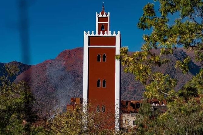 Ourika Valley and Berber Village Tour - Why the High Atlas River Feels So Different From Marrakech