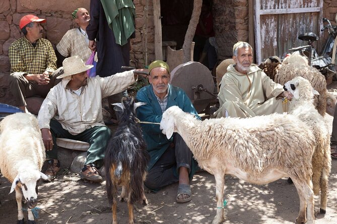 Ourika Valley and Berber Village Tour - The Guide Makes the Difference: Jamal’s Style and a Team That Shows Up