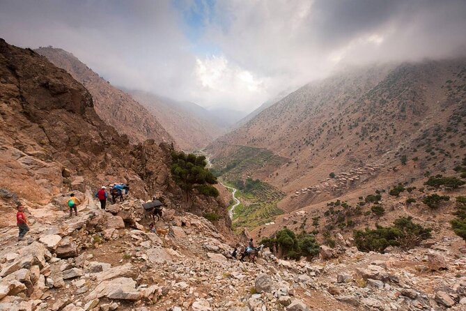 Ourika Valley and Berber Village Tour - Price and Timing: Why $17.42 Can Still Feel Like a Good Deal