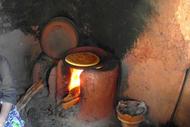 Ourika Valley and the Berber Village Day Trip from Marrakech - Price, timing, and what you get for about $29