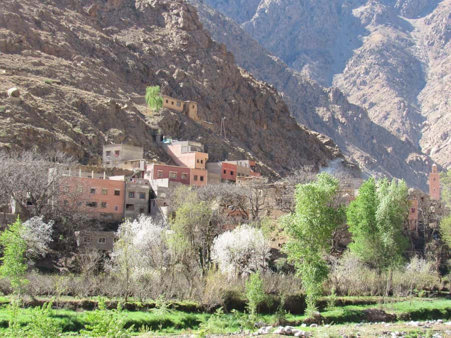 Ourika valley & atlas mountains guided tour from Marrakech - Morning pickup and the mountain drive with real photo stops