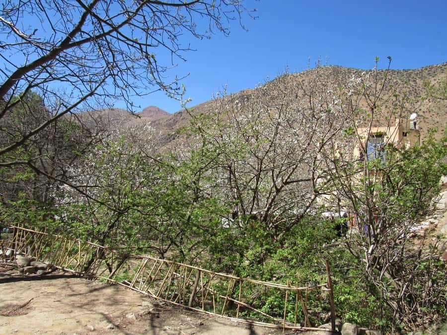 Ourika valley & atlas mountains guided tour from Marrakech - Who this Ourika day trip suits best