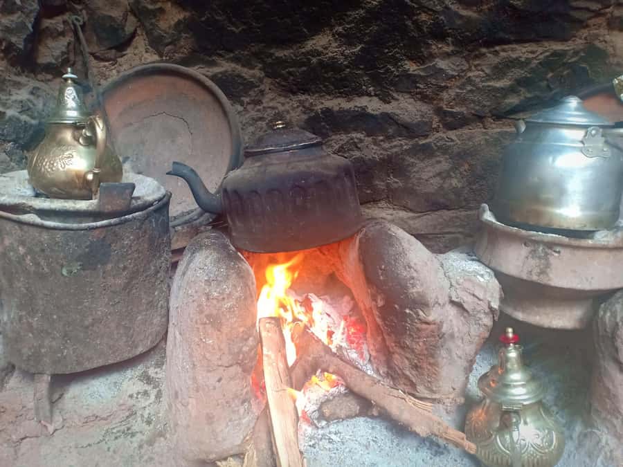 Ourika Valley ,Berber villages ,Atlas Mountains + Lunch - Price and value: why $11 can make sense, and what can change it