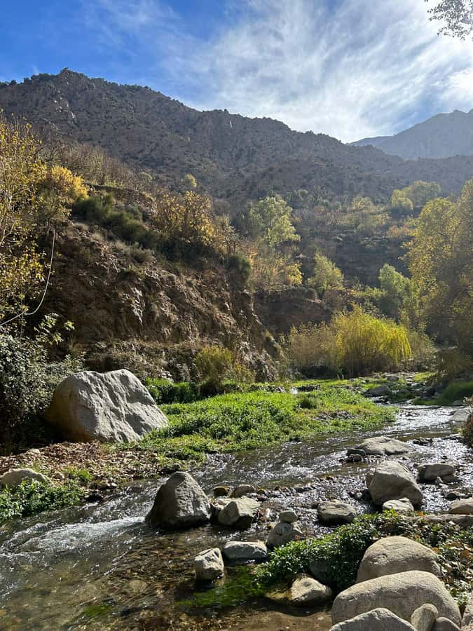 Ourika Valley ,Berber villages ,Atlas Mountains + Lunch - Atlas Mountain stops: photos, quick breaks, and timing