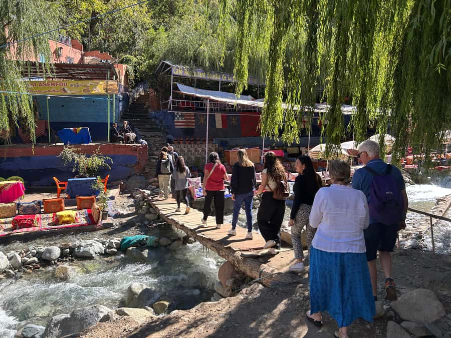 Ourika Valley Day Trip from Marrakech with Guide & Lunch - Driver and Guide Energy: Why Names Like Mostafa and Said Keep Appearing