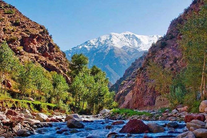 Ourika valley full day trip - Price and Value: What $24.39 Covers (and What It Does Not)