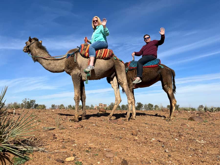 Ourika Valley Private Trip: Lunch, Guide, & Camel Ride - Who this Ourika Valley day trip suits best