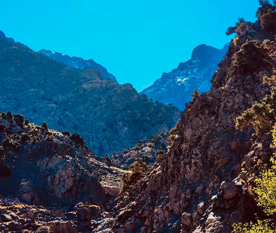 Ourika Valley: Quad Biking,Camel Riding,and Hiking Adventure - Ourika Valley in one packed, practical day