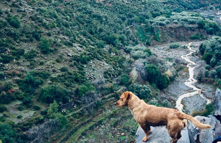 Ourika Valley: Quad Biking,Camel Riding,and Hiking Adventure - The Ourika waterfall hike: good walking time, real payoff