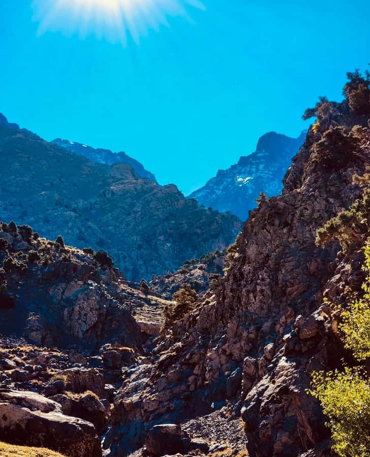Ourika Valley: Quad Biking,Camel Riding,and Hiking Adventure - Quad bike time in the Atlas: the adrenaline you came for