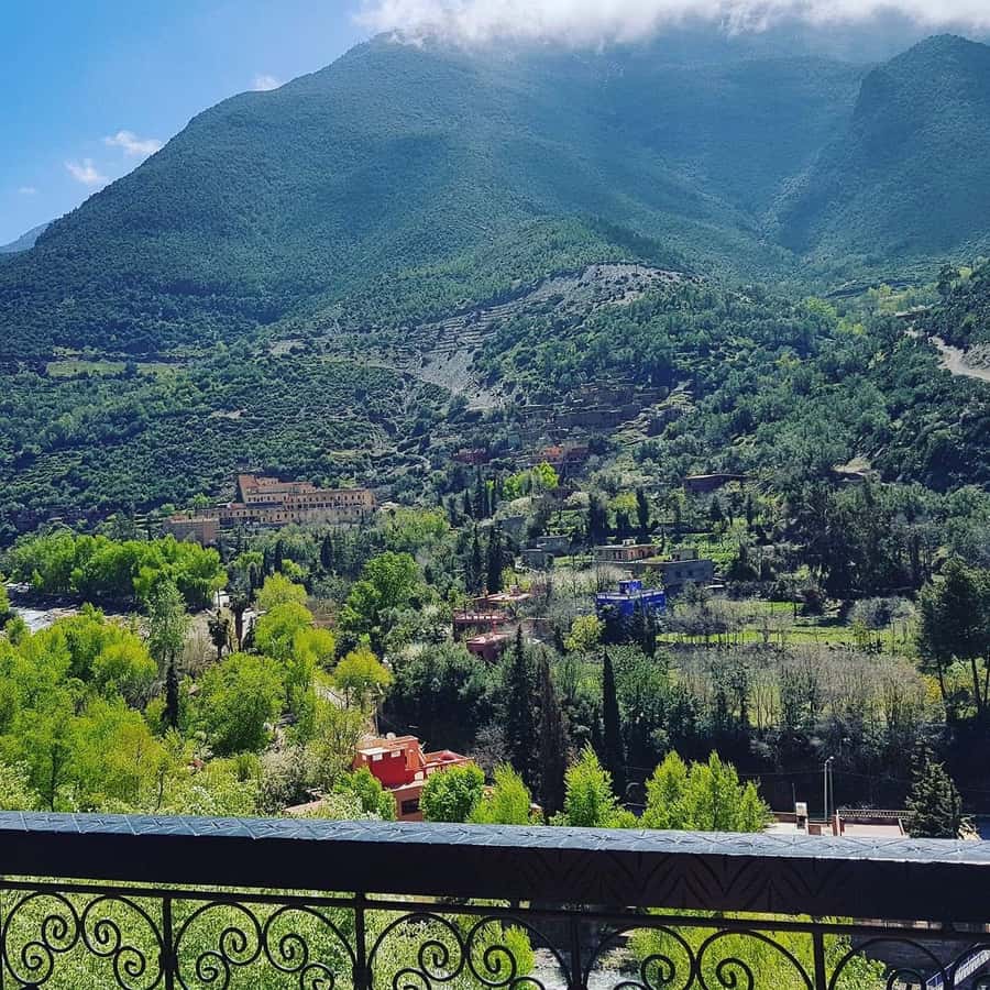 Ourika Valley Waterfalls Day Trip From Marrakech - Best time and heat tips for a comfortable day in the valley
