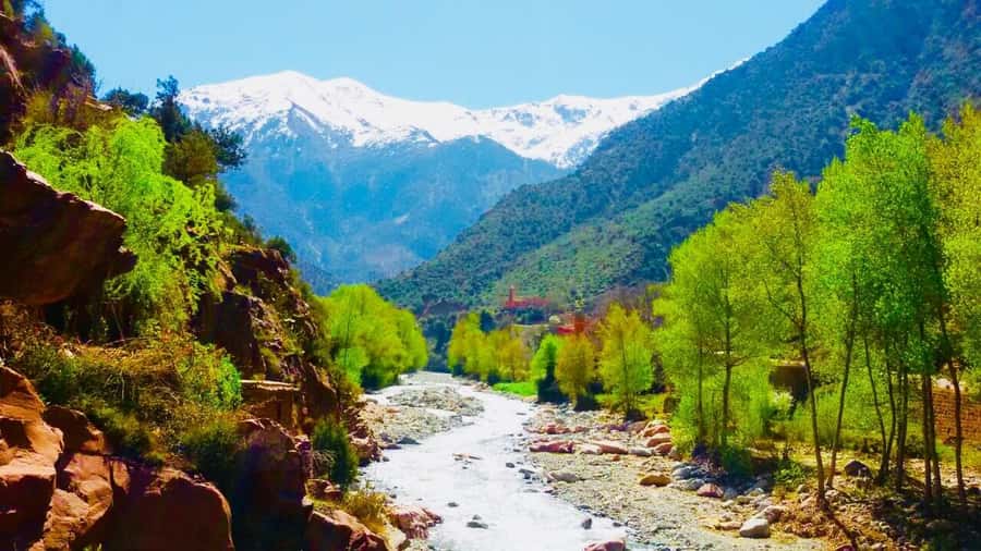 Ourika Valley with Atlas Mountains Day Trip from Marrakech - Lunch by the stream, how to order smart