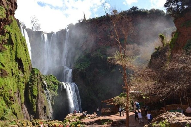 Ouzoud Waterfall & Middle Atlas Mountain Full-Day Tour from Marrakech - Going up to the top: viewpoints and the monkeys
