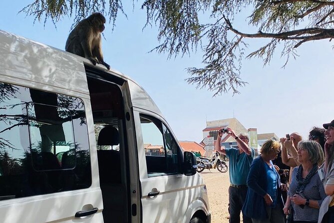 Ouzoud Waterfalls Day Trip - Cascade Ouzoud - Ouzoud Falls - The Barbary Macaques: Friendly, Fun, and Best Done With a Guide