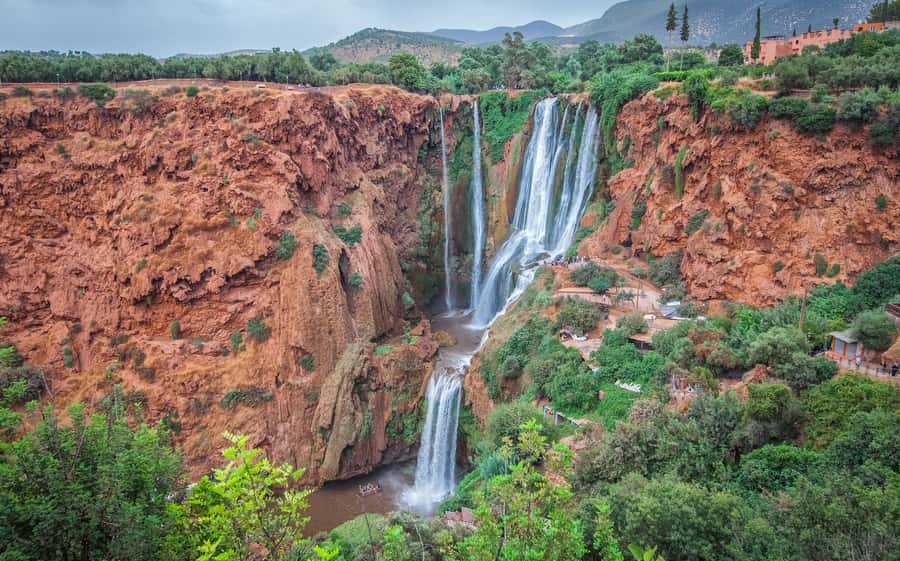 Ouzoud Waterfalls: Day Trip from Marrakech - Monkeys at Ouzoud: enjoy the show, follow the rules