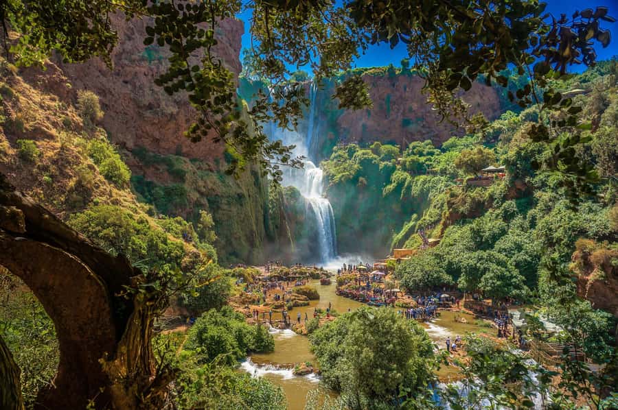 Ouzoud Waterfalls: Day Trip from Marrakech - First stop: stretching your legs at the café break
