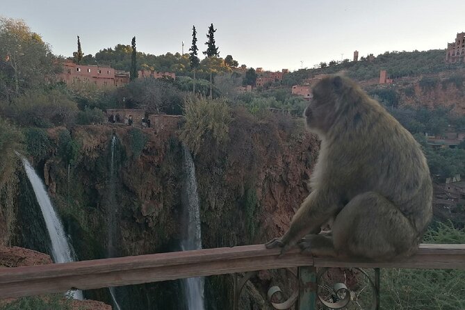 Ouzoud Waterfalls Excursions from Marrakech with boat Ride - The ride north: coffee breaks, viewpoints, and real Atlas road time