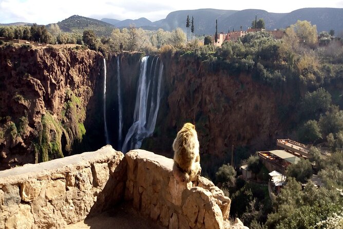 Ouzoud Waterfalls Full Day Trip From Marrakech - Ouzoud Falls on Foot: Olive Trees, Viewpoints, and Monkey Encounters