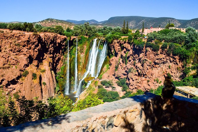 Ouzoud Waterfalls Guided Hike and Boat Trip from Marrakech - Wild monkeys: fun to watch, best enjoyed with boundaries