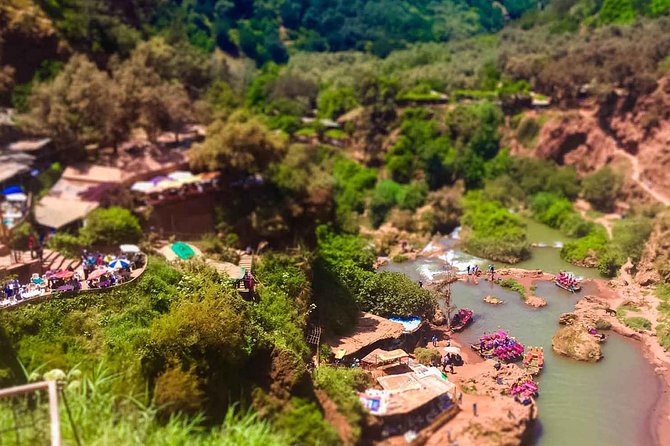 Ouzoud Waterfalls Guided Hike and Boat Trip from Marrakech - Value check: is $29.92 a good deal for a full day?