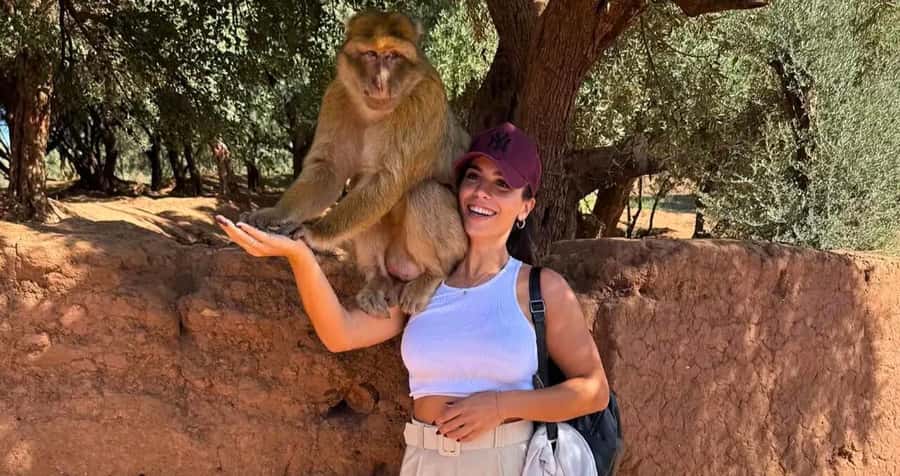 Ouzoud Waterfalls: Majestic Guided Hike and Adventure - Getting from Marrakech: pickup, minibus, and the road time reality