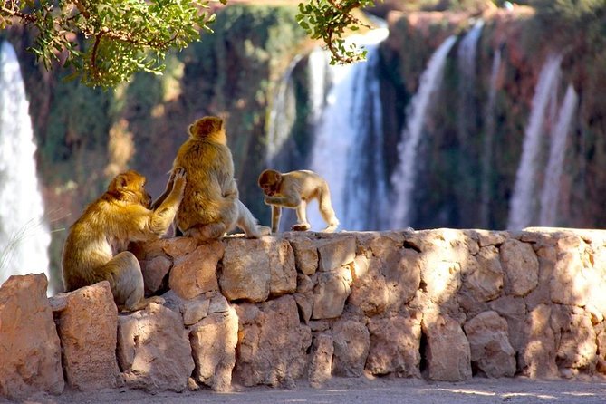 Ouzoud Waterfalls Tour From Marrakech In Group - Food and Budget: Tagine and Cafe Stops You Pay For