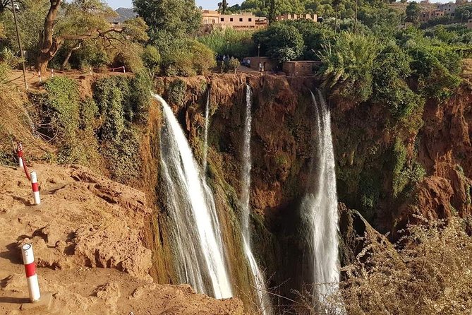 Ouzoud Waterfalls Tour From Marrakech In Group - Price and Value: Is $23.23 a Good Deal for This Kind of Day?