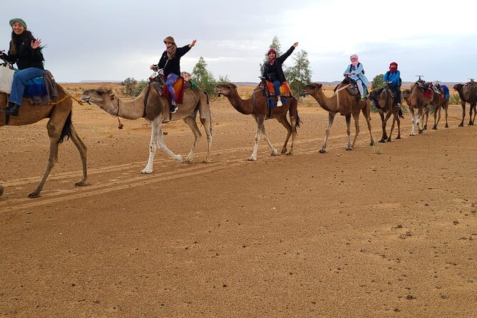 Overnight Camel trek in Merzouga dunes - Nomadic camp at night: Berber tent stay, tagine dinner, and drum circle