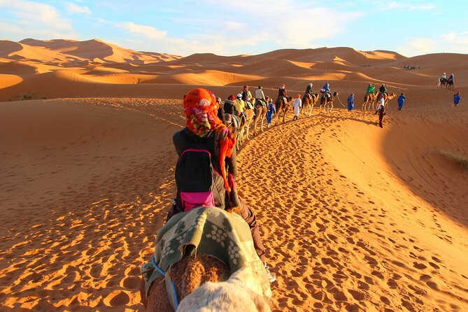 Overnight Camel trek in Merzouga dunes - Sunrise and the return: desert morning, breakfast, and shower back at the hotel