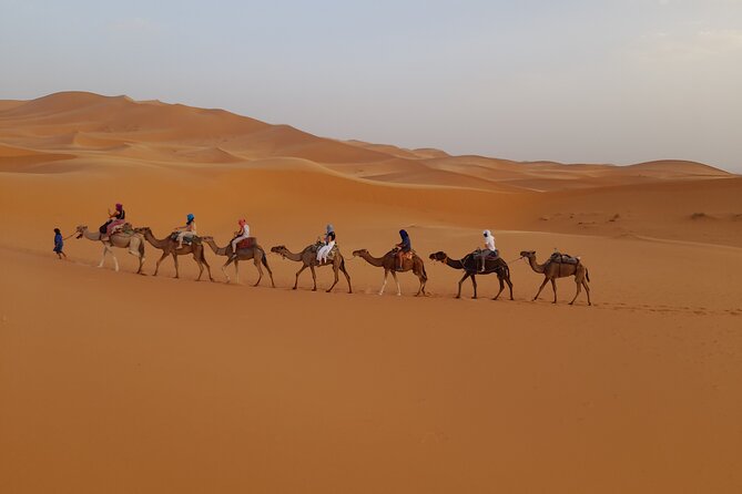 Overnight Camel trek in Merzouga dunes - Price and value: why $40.71 can make sense here