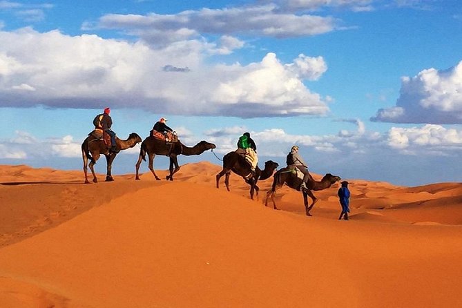 Overnight Camp Camel Trekking In Merzouga - Dinner, Berber Drums, and Night Comfort Without A/C