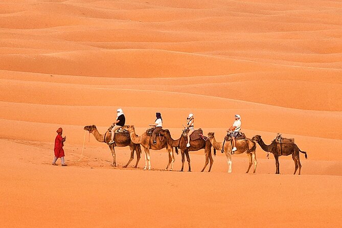 Overnight Camp Camel Trekking In Merzouga - Breakfast and the Morning Return, 8 to 10am