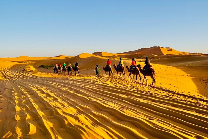 Overnight Camping in Merzouga Desert - Sleeping in the desert: private bathroom plus real comfort details