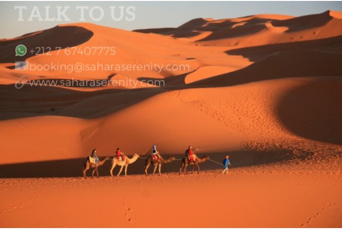 Overnight Camping in Merzouga Desert - Affordable Luxury Camp vs Luxury Camp: how to choose your comfort level