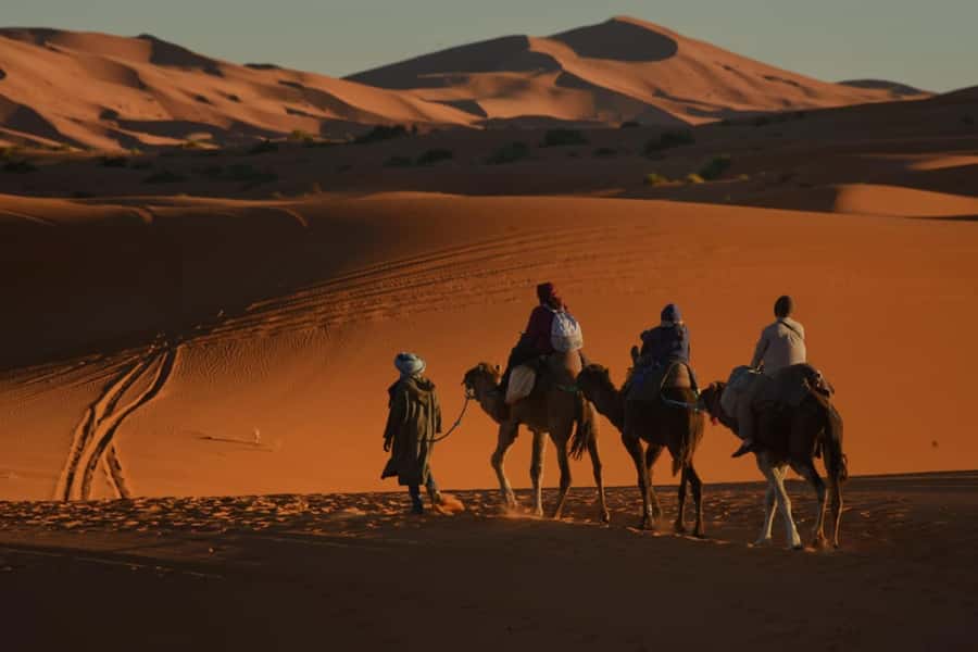 Overnight in Luxury Tent in Desert Camp Erg Chebbi Merzouga - Price and value at about $117 per person