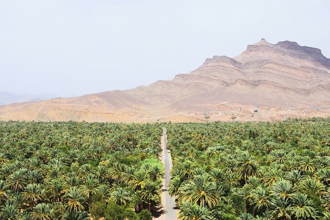 Overnight Sahara Tour from Marrakech to Mhamid - Oulad Driss and the camel ride: the sunset moment that anchors the desert night