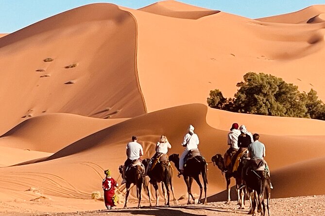 Overnight stay in desert camp & Camel trekking in the Sahara - Key highlights worth your time