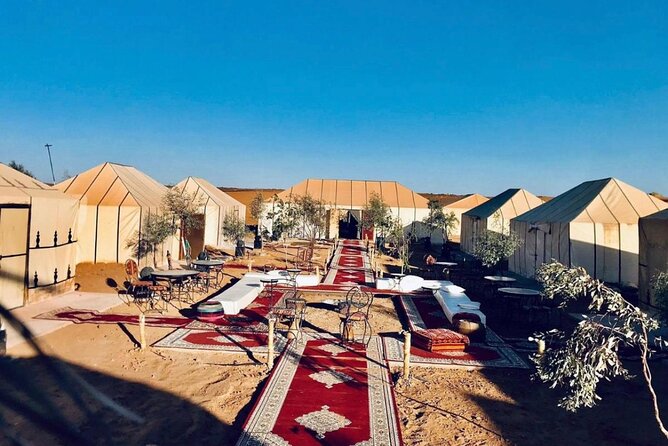 Overnight stay in desert camp & Camel trekking in the Sahara - Sandboarding in the dunes of Erg Chebbi