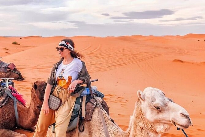 Overnight stay in desert camp & Camel trekking in the Sahara - Camel trekking at a human pace