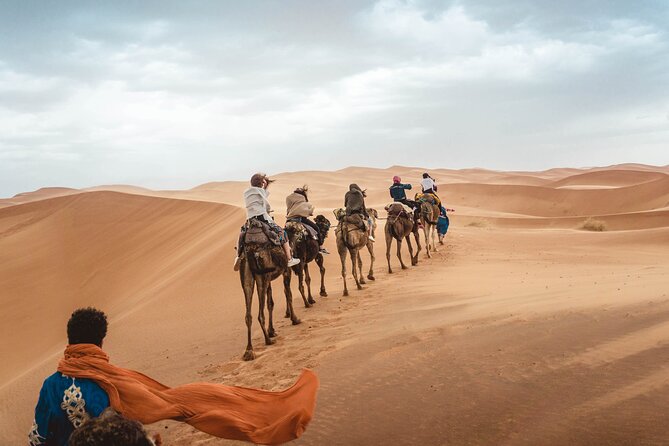 Overnight Tour From Fes to Sahara Desert - Camel Trek to a Berber Encampment at Erg Chebbi