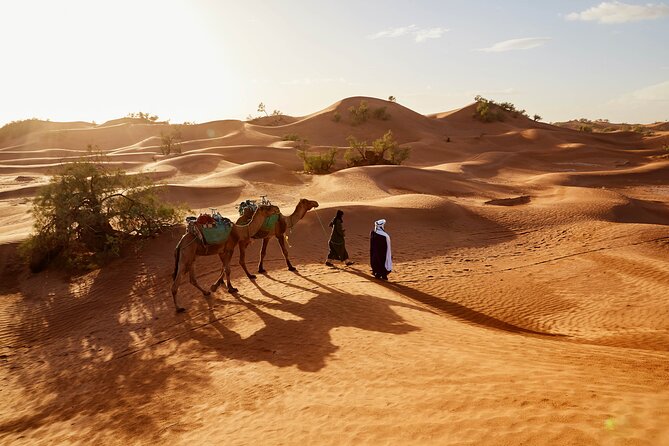 Overnight Tour From Fes to Sahara Desert - Price and Value: What $104.53 Covers in Real Terms