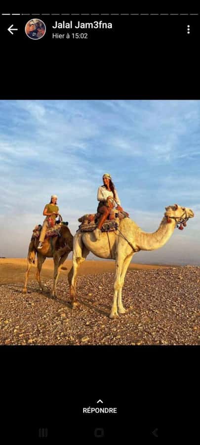 Palmeraie Marrakech Camel Ride & Quad Bike Package Exprience - Key highlights at a glance