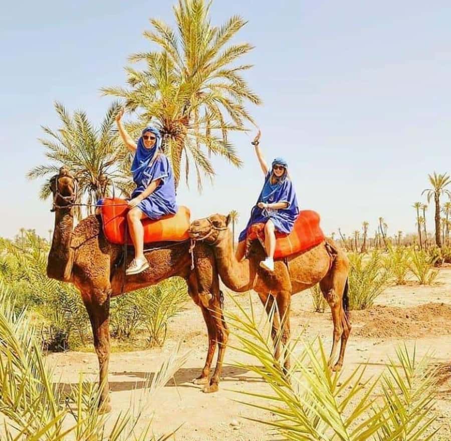 Palmeraie Marrakech Camel Ride & Quad Bike Package Exprience - Quad biking in the palms: timing, gear, and pacing you can actually enjoy