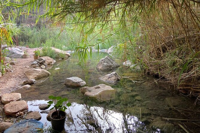 Paradise Valley and Atlas Mountains Adventure in Agadir - What to pack for Paradise Valley in Agadir