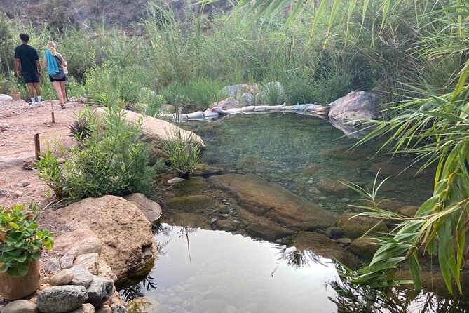 Paradise Valley and Atlas Mountains Adventure in Agadir - Who this tour is best for, and who should skip it
