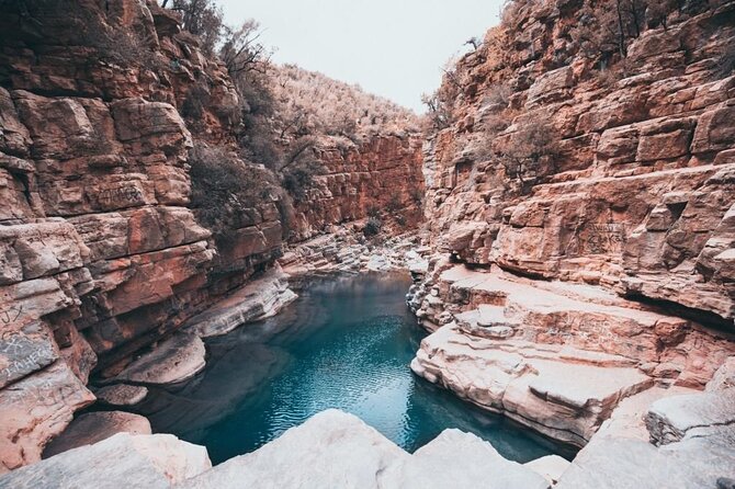 Paradise Valley & Atlas Mountains Adventure with optional LUNCH - From Agadir Into the High Atlas: What This Half-Day Trip Is Really Like