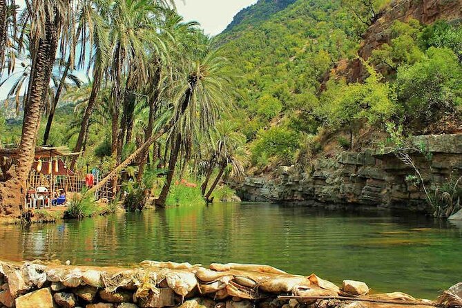 Paradise Valley & Atlas Mountains Adventure with optional LUNCH - The Botanic Garden Stop: A Breather Between Trail and Coast