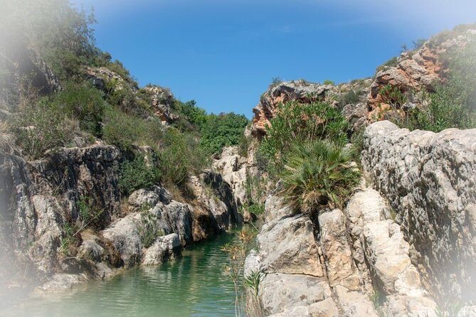 Paradise Valley & Atlas Mountains Adventure with optional LUNCH - Argon Oil and Local Stories During the Drive